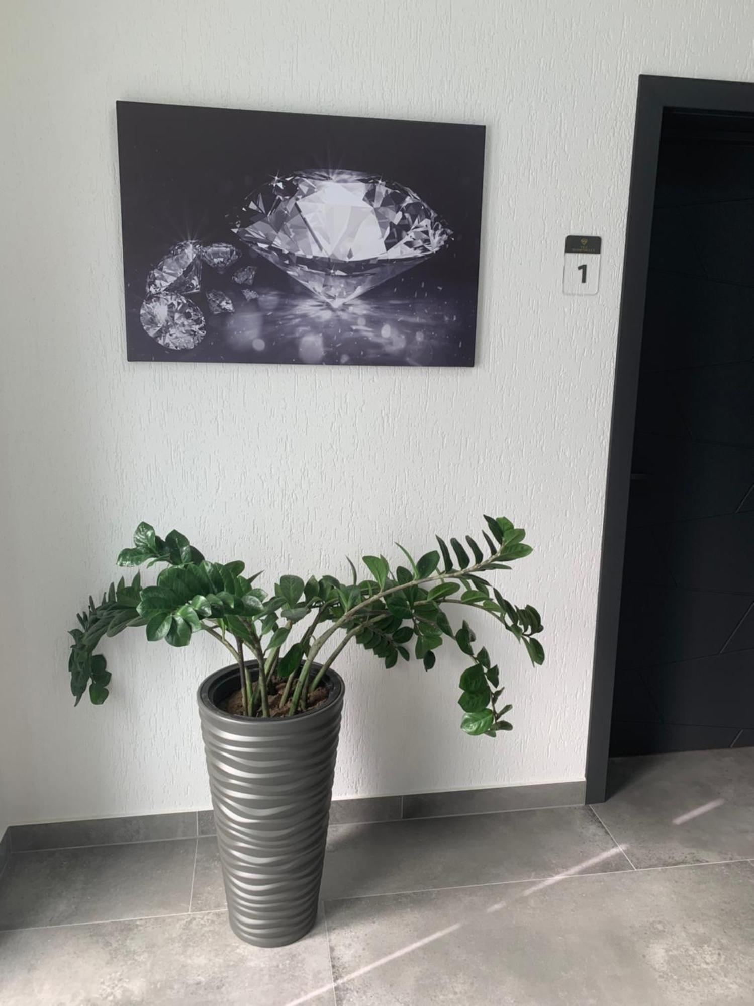 Vila Diamond Lux&Spa Sovata Eksteriør billede