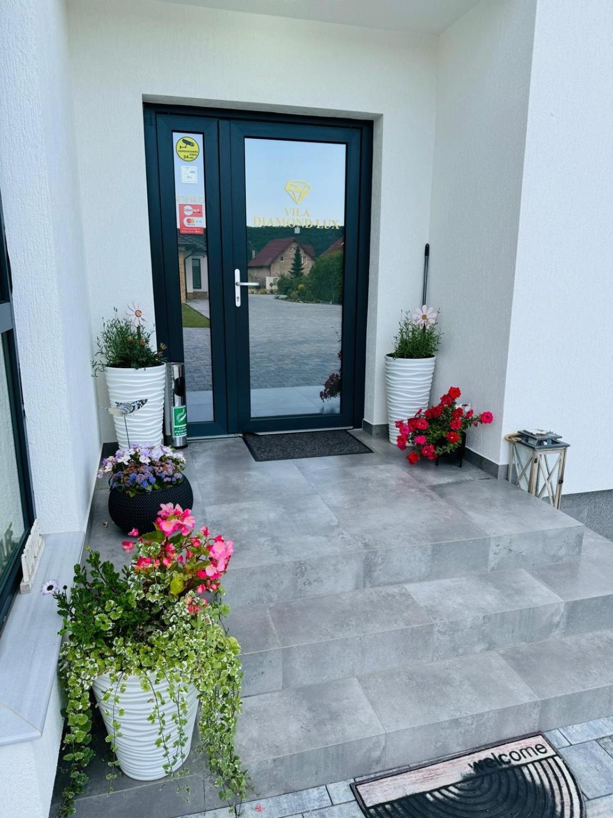 Vila Diamond Lux&Spa Sovata Eksteriør billede