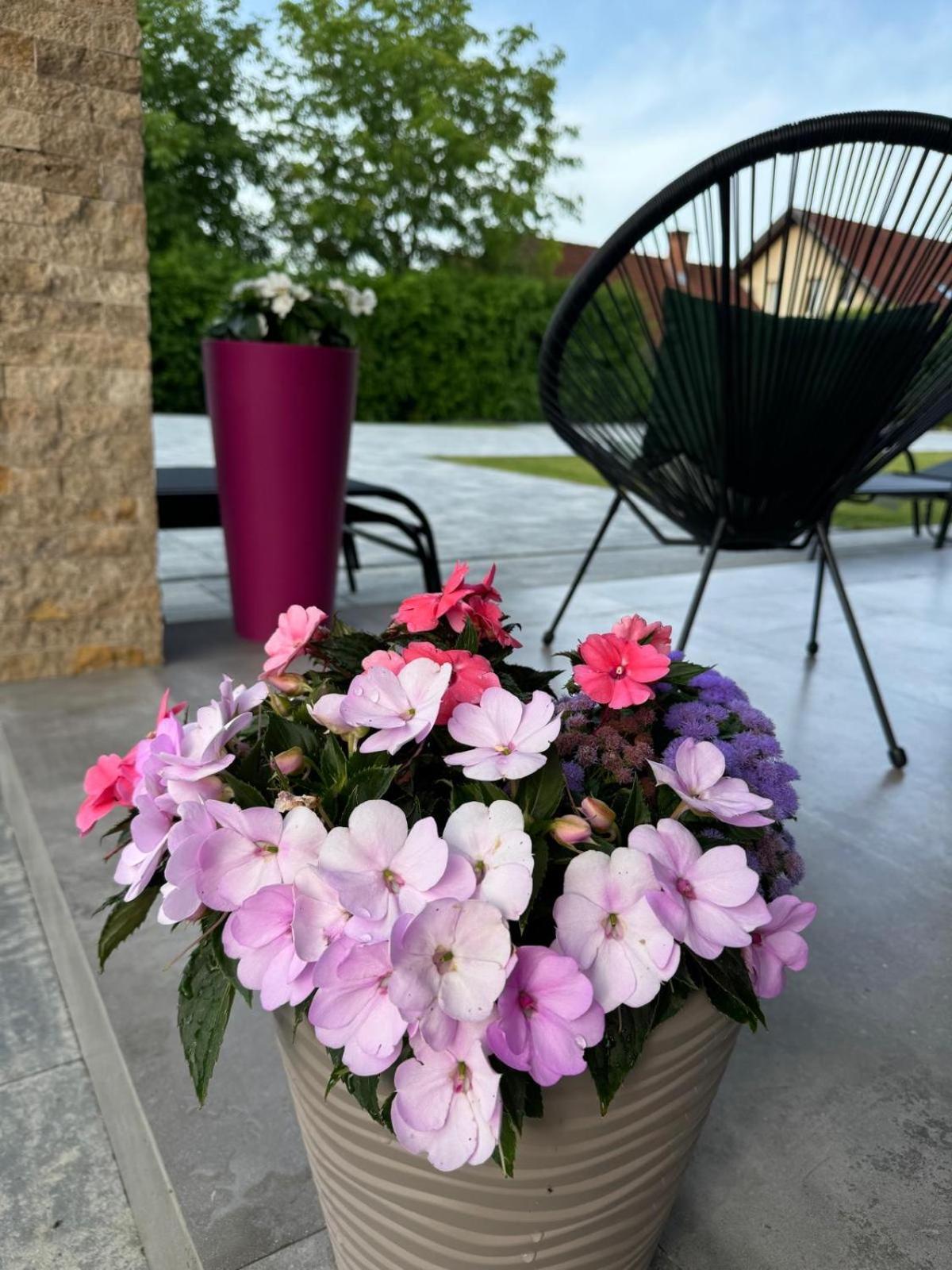 Vila Diamond Lux&Spa Sovata Eksteriør billede