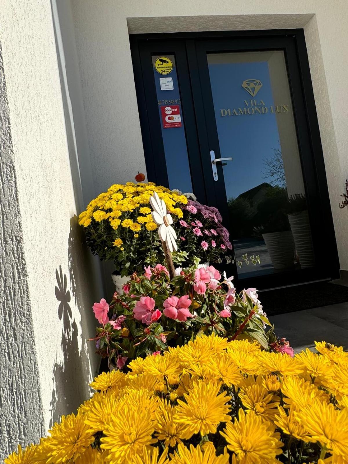 Vila Diamond Lux&Spa Sovata Eksteriør billede